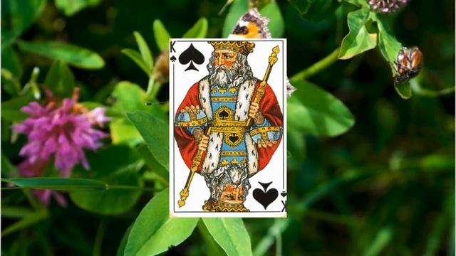 13 Король Пик смотреть онлайн