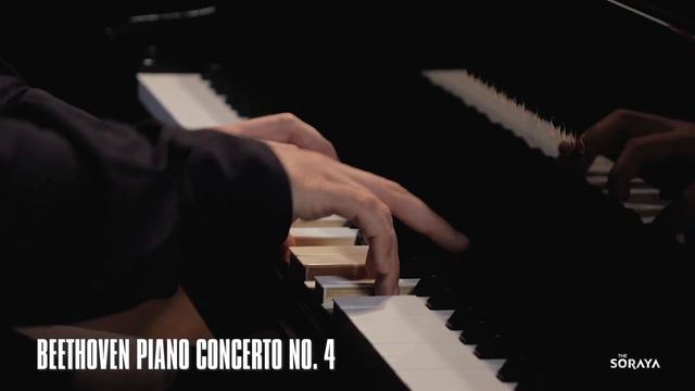 Director's Selects: Rotterdam Philharmonic Orchestra смотреть онлайн