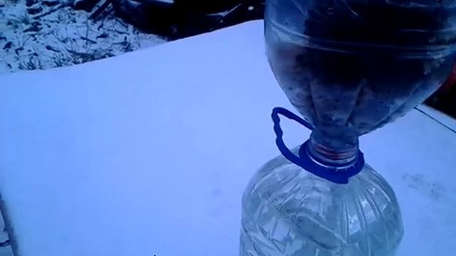 Зимовка пчёл в бутыле.16.02.2023. смотреть онлайн