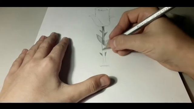 How to draw white roses?/Как нарисовать белые розы? смотреть онлайн