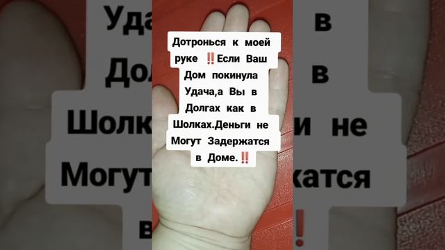 Подпешись на Богатство ‼️ #заговор #магия #новини #обряды #приметы #деньги #обрядынаденьги #новости смотреть онлайн