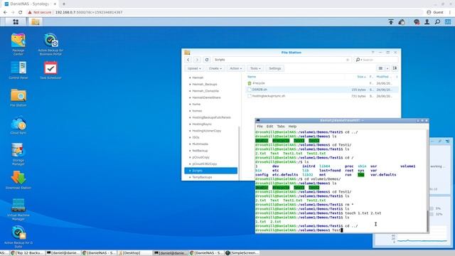 Setting Up Bash Scripts and Commands in Synology DSM (Task Scheduler) смотреть онлайн