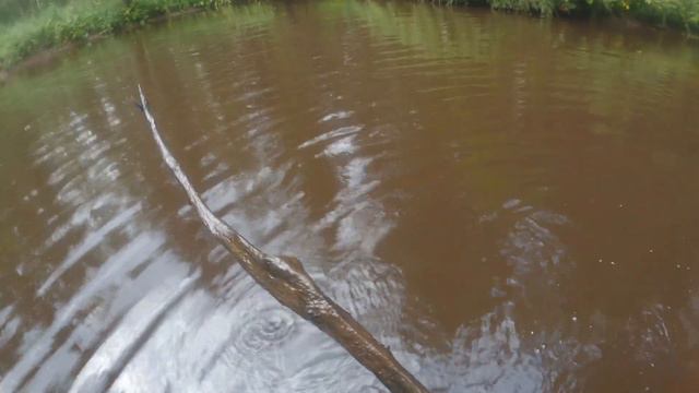 КАК ЛОВИТЬ ФОРЕЛЬ? По рекам Ленинградской области. Рыбалка. смотреть онлайн