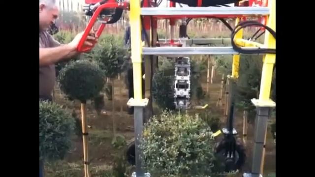 Устройства для выполнения формовочной обрезки растений смотреть онлайн