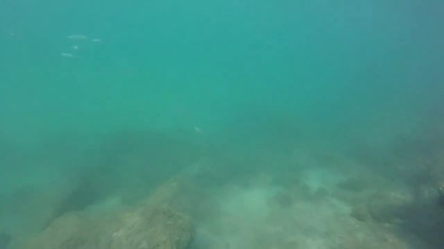 Snorkeling in Santa Marinella, Italy - GoPro смотреть онлайн