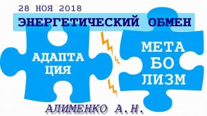 Энергетический обмен между адаптационным и метаболическими механизмами. Алименко А.Н. (28.11.2018)