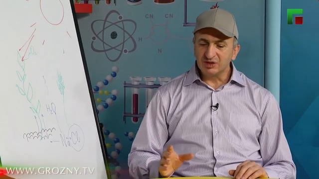 Спрошу у Султана, Продукты питания смотреть онлайн