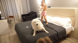 VLOG Настя приехала