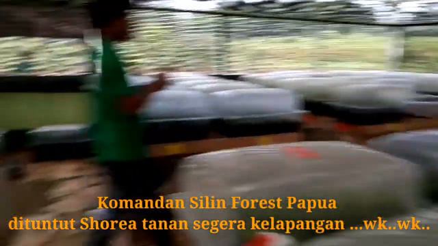 PROGRES STEK PUCUK UNTUK BRAVO смотреть онлайн