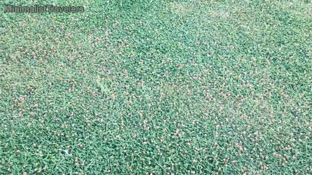 52 Seconds in Baku, or Aliyev City! Heydar Mosque, by the way.. смотреть онлайн