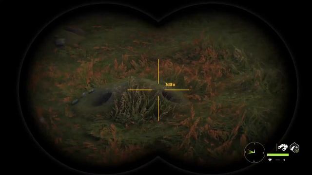 Easy way to hunt European Rabbit (the hunter call of the wild) смотреть онлайн