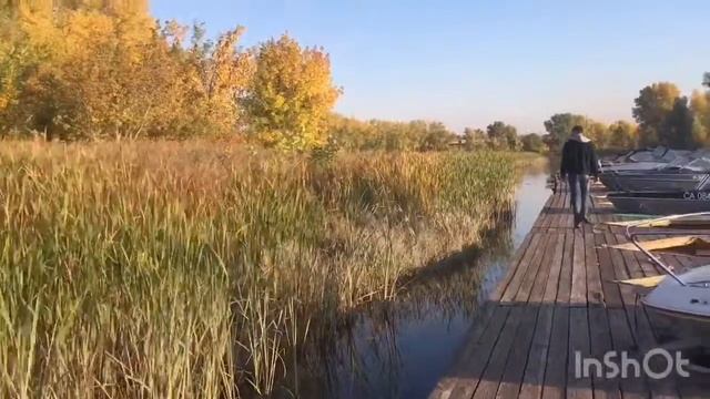 Яхтклуб Заречье