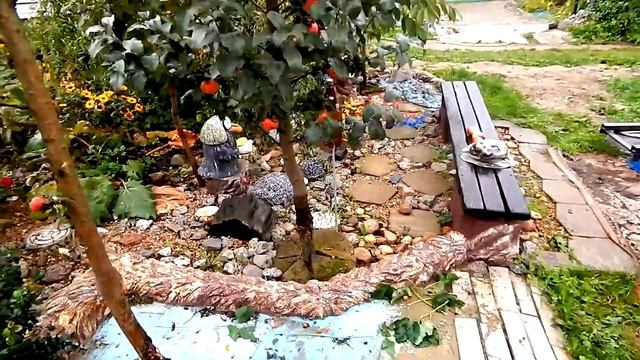 Колоновидная яблоня Валюта. А также Триумф, Московское ожерелье, Останкино и др. Минская область, Р смотреть онлайн