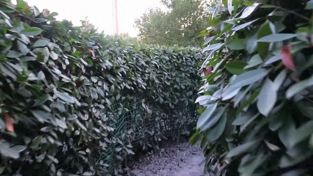 Пытаюсь заблудиться в лабиринте Сочи-парка смотреть онлайн