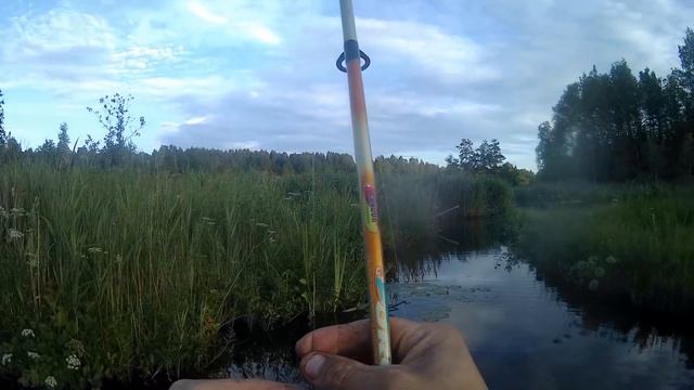 ВОТ это ДА!!! Что с рыбой происходит? Отличная РЫБАЛКА!!! смотреть онлайн