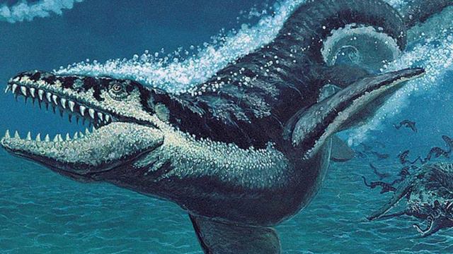 Мозазавр хищник мелового периода