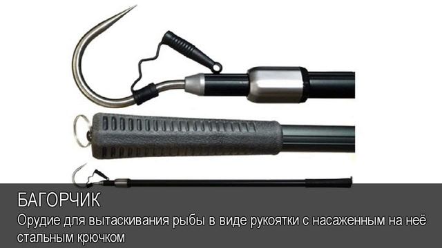 Багорчик. Толковый Видеословарь русского языка смотреть онлайн