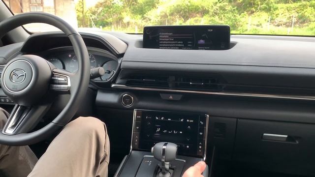 Mazda MX-30 | Der coolste Elektro-Stadtflitzer?...im coolsten Test! // Tobias Görgens смотреть онлайн