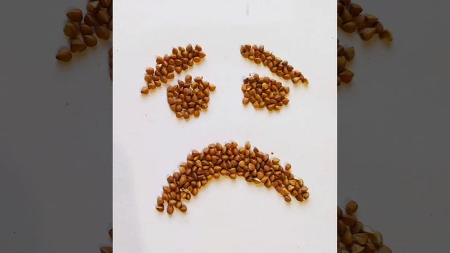 Апноэ - Гречка смотреть онлайн