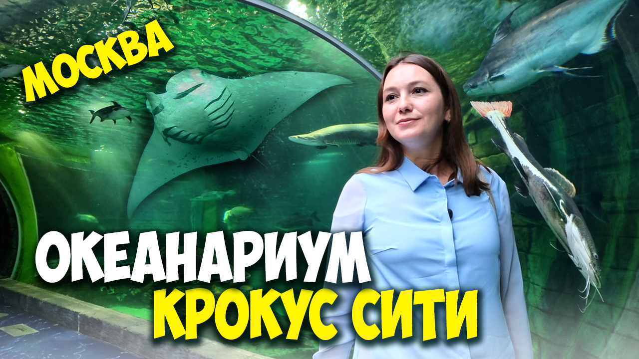 Океанариум Крокус Сити - билеты, цены и многое другое / Океанариум Крокус после пандемии смотреть онлайн