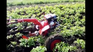 ?Мотоблок хопёр 1100