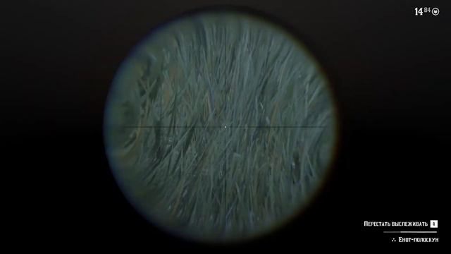 Ищу во мху Енота смотреть онлайн