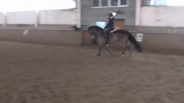 Конкурная тренировка Связка чухонец брусья смотреть онлайн