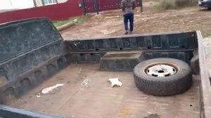 иж ода 2717, карбюратор, пикап.
