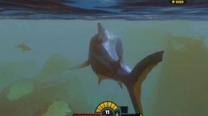 Рыбы МЕГАЛОДОН и ПРОГНАТОДОН, драка с КАШАЛОТОМ игра Feed and Grow Fish