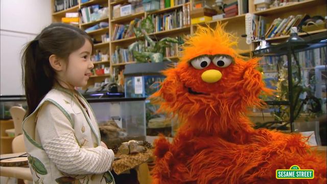 Sesame Street: Science And Nature School | Murray Little Lamb