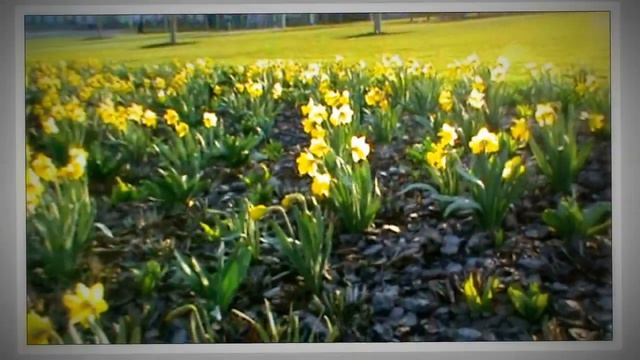 ЭКСКУРСИЯ по Донбасс Арене. TRAVELING by Donbass Arena - The Stadium. Excursion. смотреть онлайн