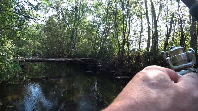 Рыбалка на любимой речке. Встреча с красавицей белочкой. Хариус. смотреть онлайн