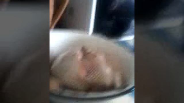 Рыба на суше смотреть онлайн