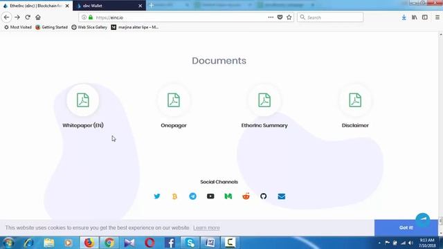 EtherInc ICO REVIEW-A fork of Ethereum to power the future of organizations смотреть онлайн