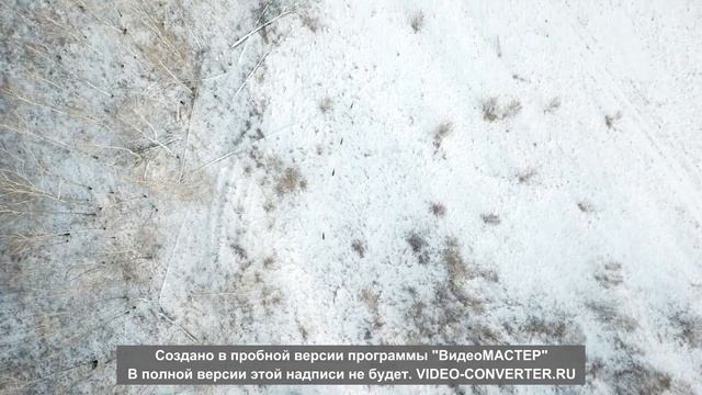 косули 19 1 смотреть онлайн