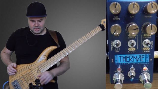 Thermae от Chase Bliss Audio - лучший аналоговый дилей / Подробный обзор смотреть онлайн
