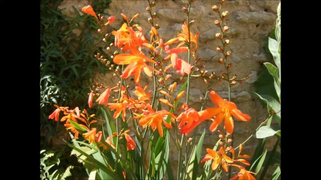Les répertoires des Noctambules - région Poitou-Charentes смотреть онлайн