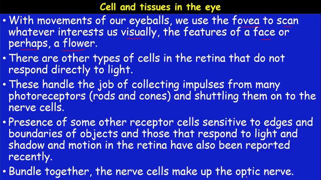 9TH || BIOLOGY || REGULAR || SENSE ORGANS || PART 03 смотреть онлайн