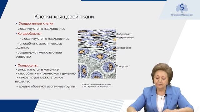Скелетные ткани. Часть 1 смотреть онлайн