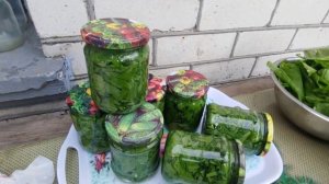 ЩАВЕЛЬ НА ЗИМУ / прості рецепти.