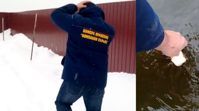 ВОДЫ НЕТ ВЫЖИВЕТ ЛИ РЫБА смотреть онлайн