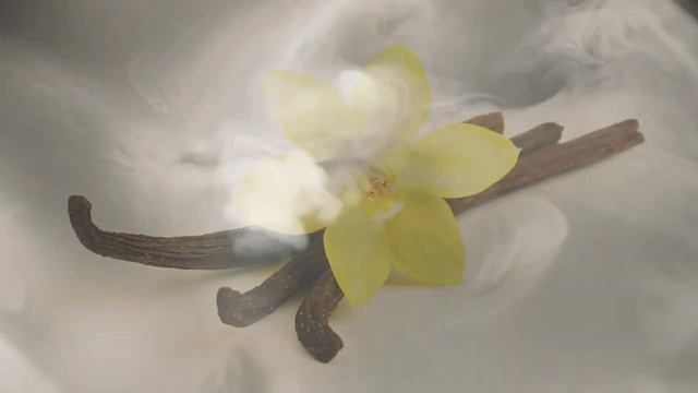 ONSHIN FLAVIA TOBACCO & VANILLA COMMERCIAL смотреть онлайн