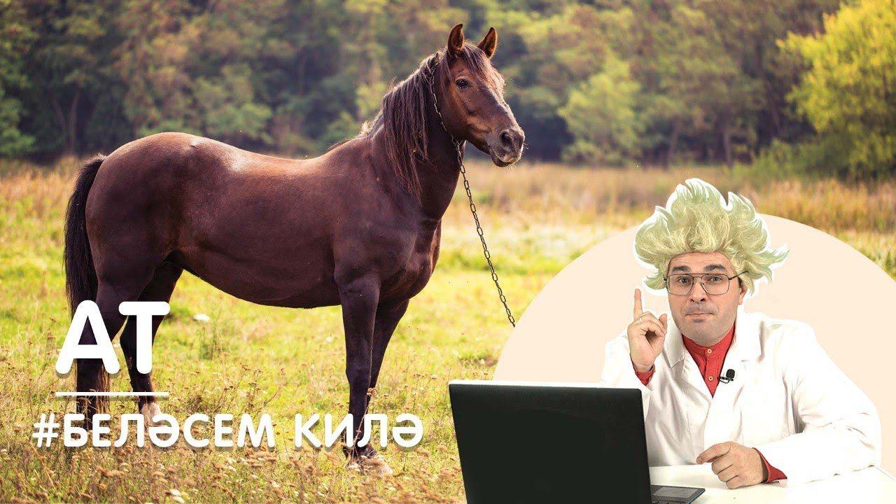 Беләсем килә