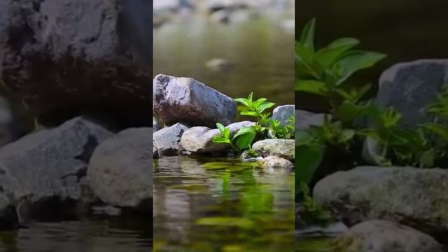 #Relaxing Music,#Relaxing Music For Stress Relief, #Deep Sleep Music,#Soothing Healing Water Sounds