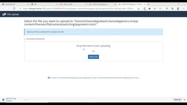 How to Add Payment Methods Image and Icon in WordPress Website Footer (Hindi) смотреть онлайн