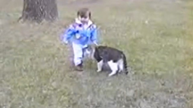 Кошка прикалывается над ребенком смотреть онлайн