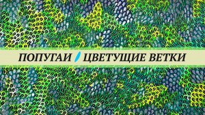 Цветущие ветки деревьев для попугаев. Собирайте весной самый полезный корм, которого не будет потом.