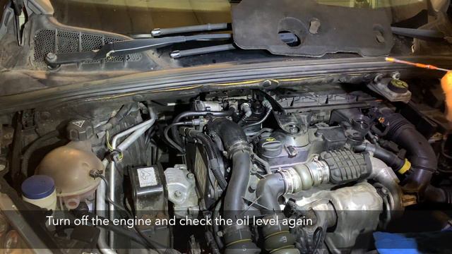 Peugeot 308 1.6 HDi Service and Eolys/Pat fluid pump replacement смотреть онлайн
