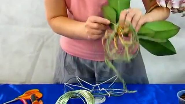 "Новогодняя композиция с горшечными растениями" смотреть онлайн