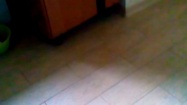 Mr.Color представляет ''где ты , где я,,:-) испалнитель великая кошатина смотреть онлайн